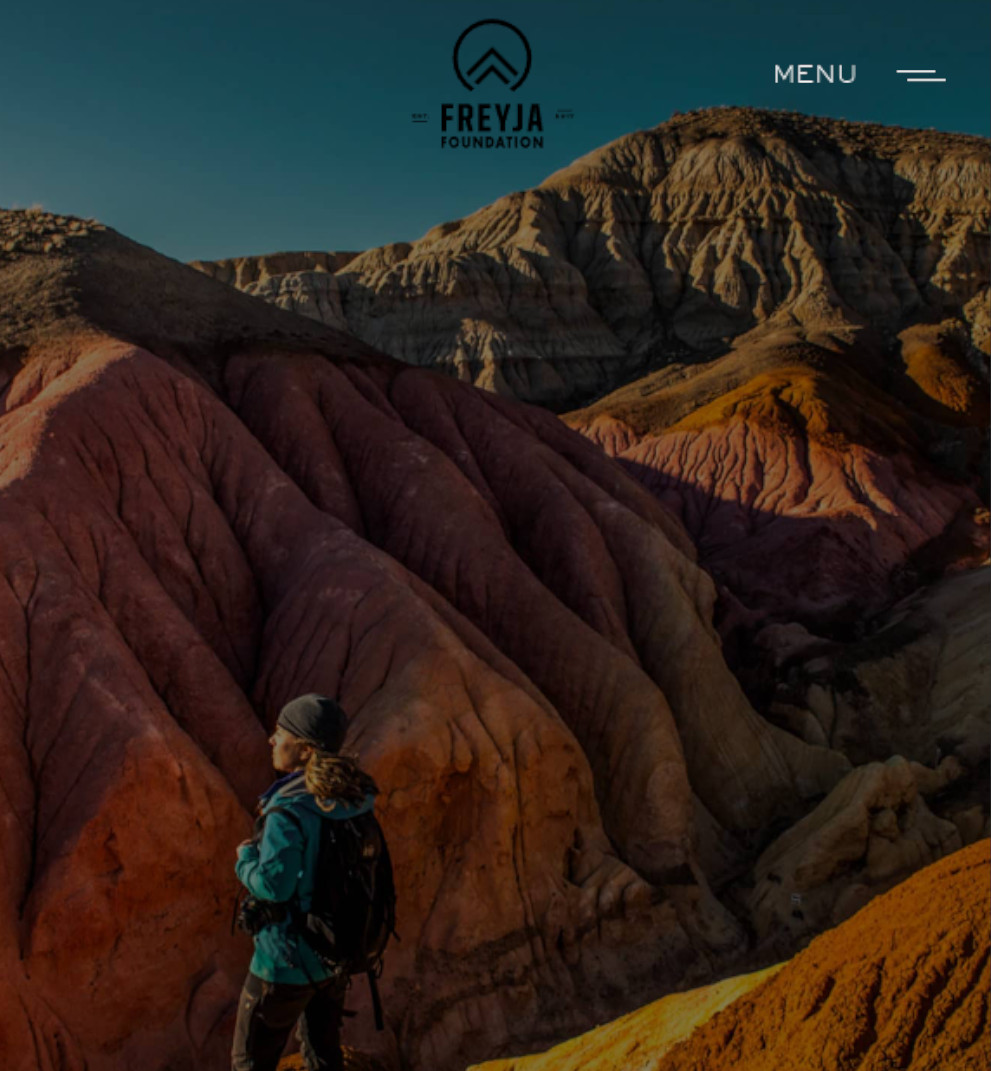 freyjafoundation /></a>
                    </div>
                    <div class=